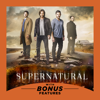 Supernatural, Season 12 - Supernatural