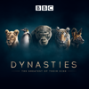 Dynasties - Dynasties  artwork