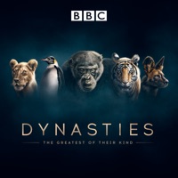 Dynasties