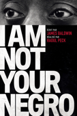 I Am Not Your Negro
