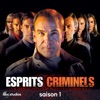 Esprits criminels