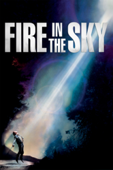 Fire In the Sky - Robert Lieberman Cover Art