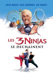 3 Ninjas Se Dechainent, Les