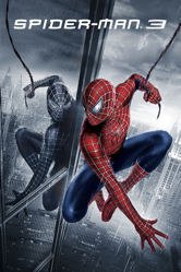 Spider-Man 3 - Sam Raimi Cover Art