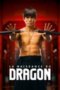 Affiche du film La naissance du Dragon