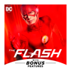 The Flash, Season 3 - The Flash Cover Art