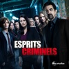 Luke Luke Esprits criminels, Saison 14 (VOST)