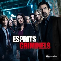 Télécharger Esprits criminels, Saison 14 (VOST) Episode 15