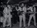 Wild Thing - The Troggs
