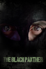 The Black Panther - Ian Merrick