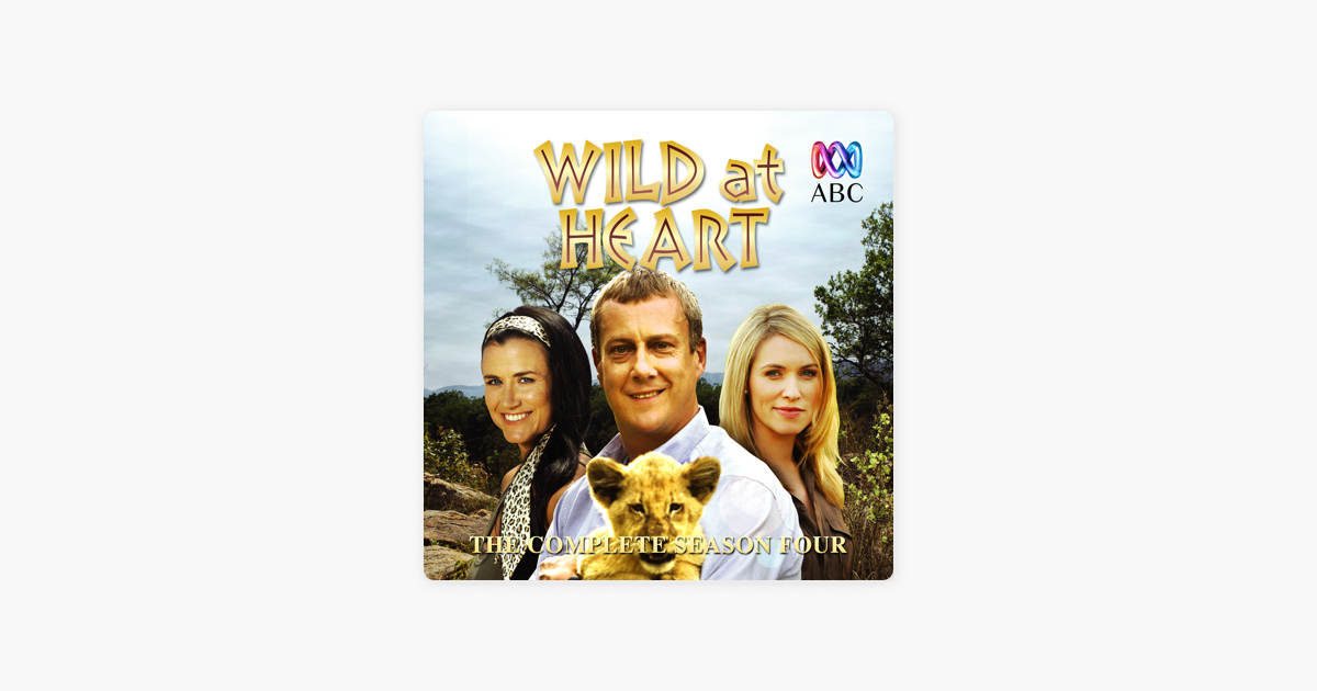 watch wild at heart session 4