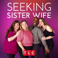 Seeking a Connection - Seeking Sister Wife Cover Art