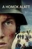 Land of Mine - Martin Zandvliet