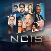 NCIS, Saison 17 (VF)