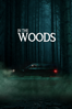 In the Woods (Original Version) (Subtitled) - Manuel Weiss