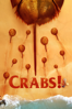 Crabs! - Pierce Berolzheimer