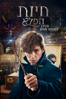 Fantastic Beasts and Where to Find Them - David Yates