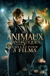 Les Animaux Fantastiques - 3 Films