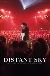 Distant Sky - David Barnard Cover Art