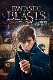 Poster for Fantastic Beasts and Where to Find Them by David Yates
