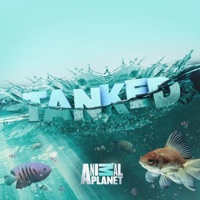 Tanked, Season 12
