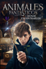 Animales fantásticos y dónde encontrarlos (Fantastic Beasts and Where to Find Them) - David Yates