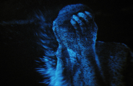 TECHNICOLOUR - The Comet Is Coming