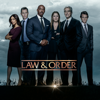 Law & Order - Camouflage  artwork