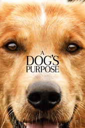 Poster for A Dog's Purpose by Lasse Hallström