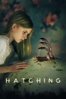 Hatching - Hanna Bergholm