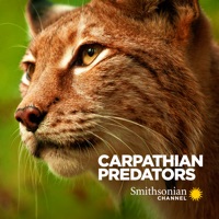 Télécharger Carpathian Predators, Season 1 Episode 1