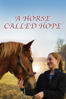 A Horse Called Hope - Douglas B Maddox