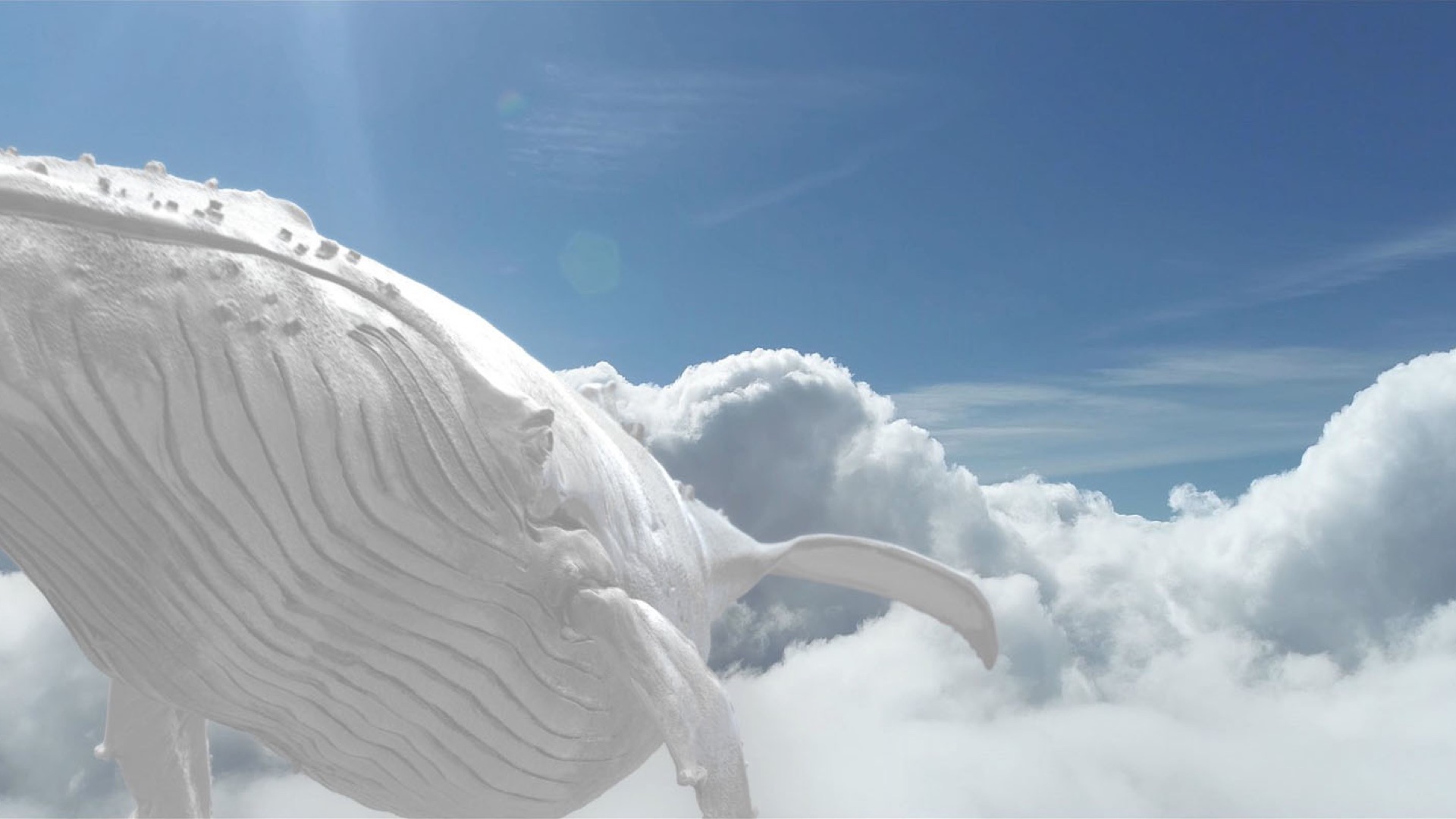 白鯨 - The Ravensのミュージックビデオ - Apple Music