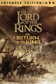 魔戒三部曲：王者再臨 (加長版)