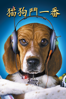 Cats & Dogs - Lawrence Guterman new Single