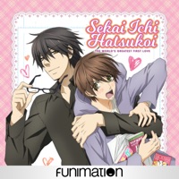 Télécharger Sekai Ichi Hatsukoi - World's Greatest First Love (Original Japanese Version) Episode 13