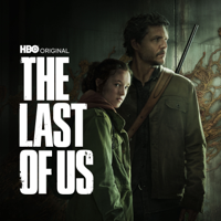 When You're Lost in the Darkness - The Last of Us Cover Art