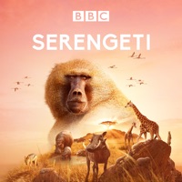 Serengeti III