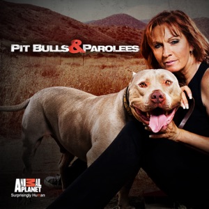 Pit Bulls and Parolees, Season 3 - Episode 10