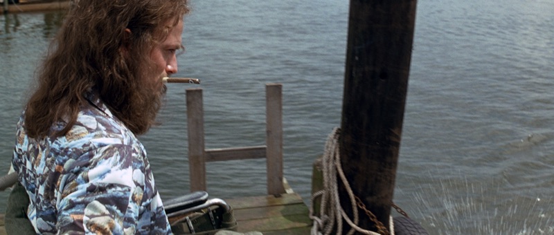 De Quoi Meurt Jenny Dans Forrest Gump Forrest Gump | Apple TV