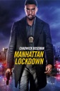 Affiche du film Manhattan Lockdown