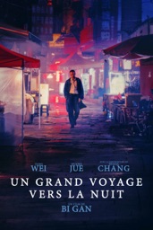 Un grand voyage vers la nuit