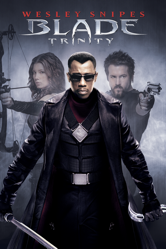 Blade: Trinity - David S. Goyer Cover Art