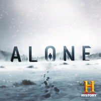Alone - The Wolves artwork