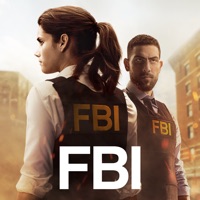 FBI, Saison 1