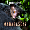 Island of Marvels - Madagascar