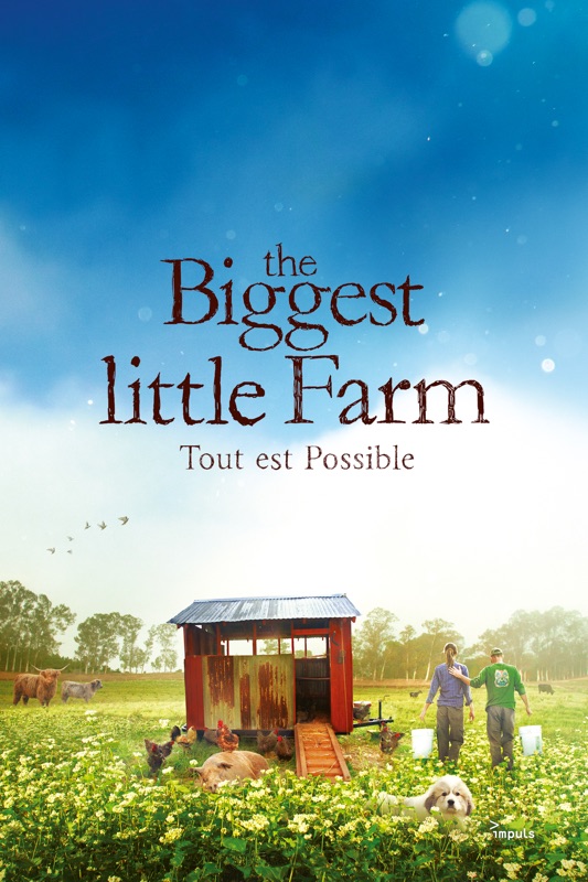 Tout est possible