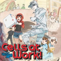 Cells at Work! (English Dubbed Version), Season 1