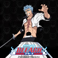 Bleach (English) Pt. 6