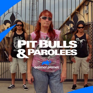 Pit Bulls and Parolees, Season 14 - Episode 9